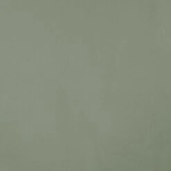 Softshell Einfarbig Grün