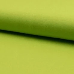 Schwerer Jersey Anis Grün